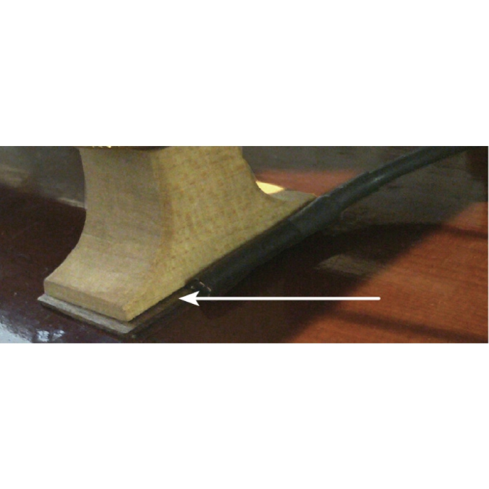 THE REALIST LIFELINE MOUNTED PICKUP D/BASS COPPER DAVIDE GAGE