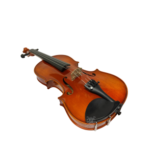 EASTMAN VIOLINO VL150 4/4 SAMUEL COMPLETO