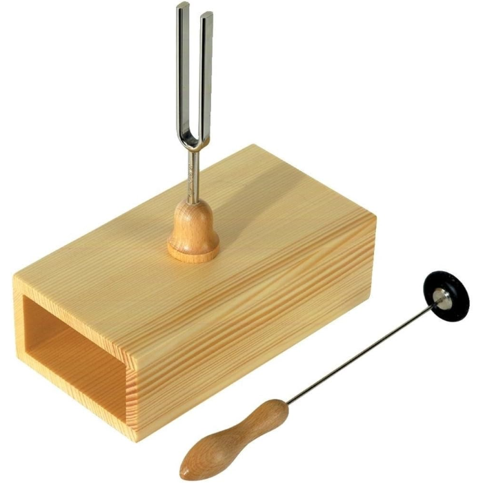 WITTNER DIAPASON LA 440 HZ CON CASSETTA E BATTENTE